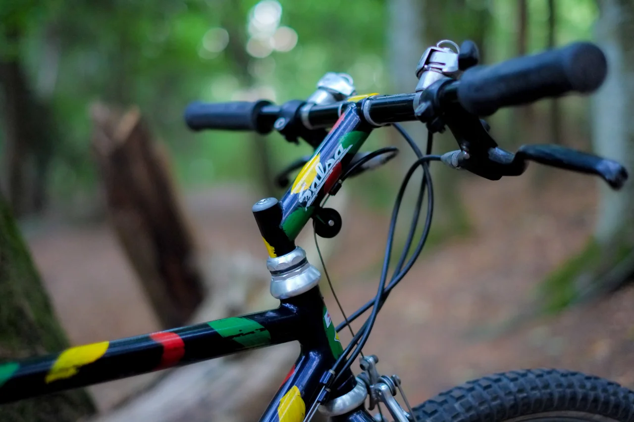 希少】Salsa Moto Rapido フレーム スカンジウム製 走行20km以内